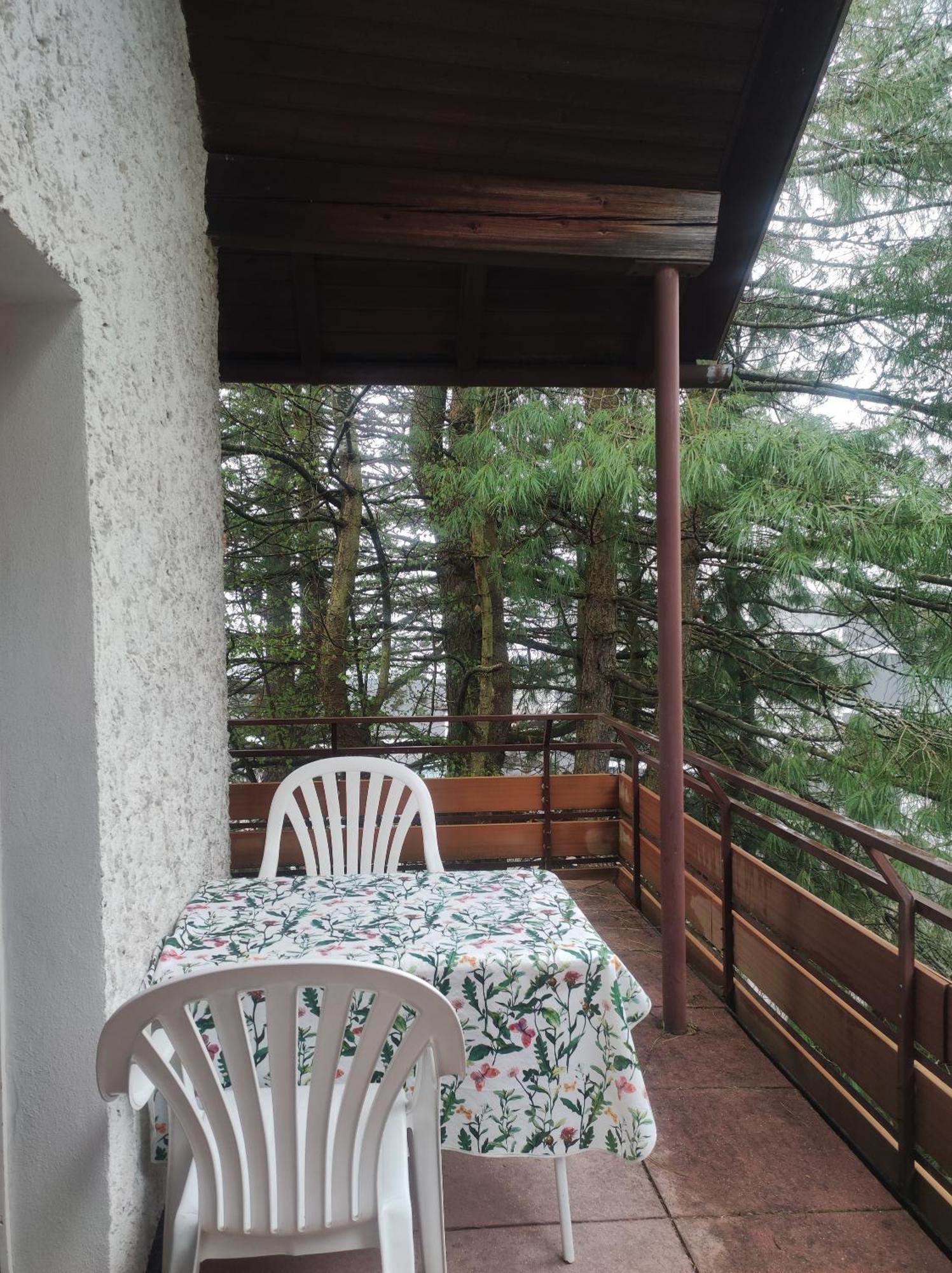 Apartment Gaestehaus Hirzel *